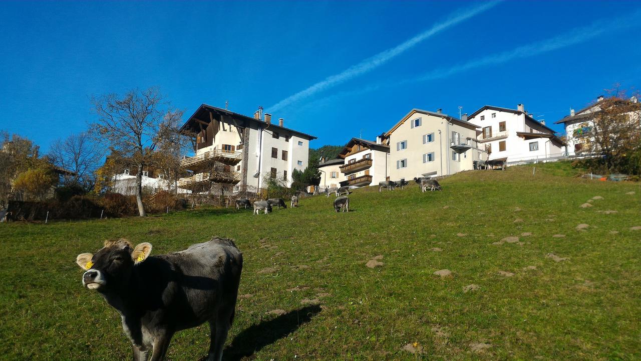 Апартаменты Il Cardo Trentino Bedollo Экстерьер фото