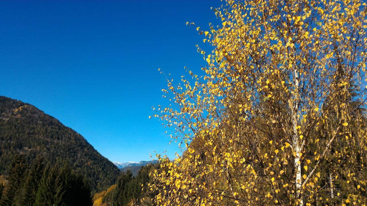 Апартаменты Il Cardo Trentino Bedollo Экстерьер фото