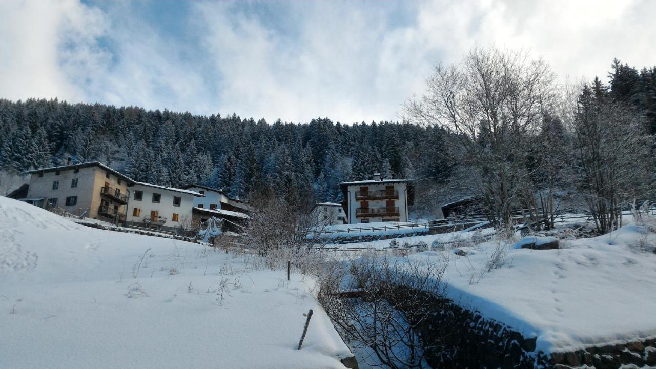 Апартаменты Il Cardo Trentino Bedollo Экстерьер фото